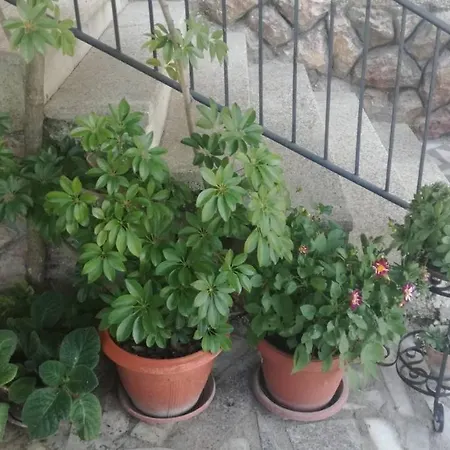 Casa de hóspedes Zimovski